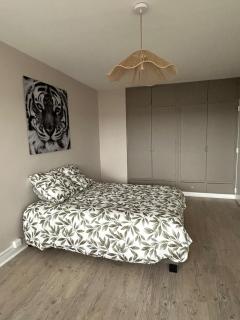 Appartement tout confort à Nancy - Nancy - 2