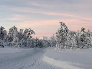 Mountain Cabin With Panoramic Jotunheim Views - Ulnes - 9