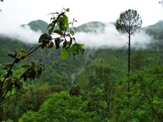Tree House-Silent Valley Alchauna along river Kalsa - 4