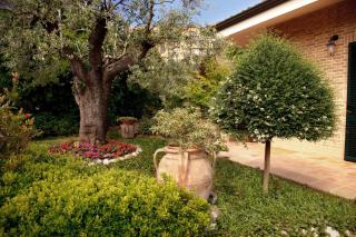 Ai Quattro Ulivi B&B - Monte Urano - 4
