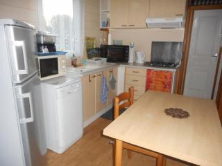 chalet entre lacs et ocean - Saint-Paul-en-Born - 5
