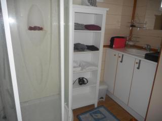 chalet entre lacs et ocean - Saint-Paul-en-Born - 4