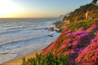 Oceanfront luxury wdramatic views - 30 day rental minimum - Montara - 9