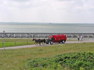 Studio mit Meerblick auf die Robbenbänke von Norderney, geschützter Südwestbalkon - Baltrum - 7