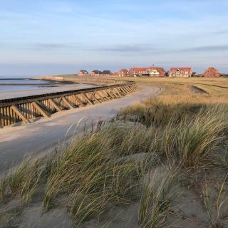 Studio mit Meerblick auf die Robbenbänke von Norderney, geschützter Südwestbalkon - Baltrum - 8