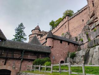 Gîte Le Marronnier - au calme - parking & terrasse - près de Colmar et Riquewihr - route des vins - Châtenois - 1