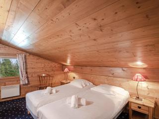 Chalet duplex 3* avec WiFi, parking et animaux acceptés à Chamonix - FR-1-343-171 - Chamonix-Mont-Blanc - 1