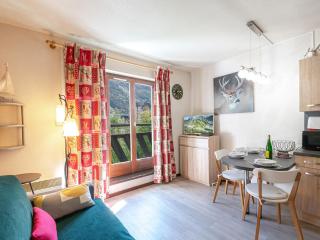 Chamonix : Studio charmant, balcon vue Mont-Blanc, parking, wifi, animaux acceptés - FR-1-343-221 - Chamonix-Mont-Blanc - 8