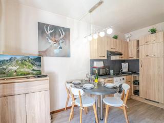 Chamonix : Studio charmant, balcon vue Mont-Blanc, parking, wifi, animaux acceptés - FR-1-343-221 - Chamonix-Mont-Blanc - 7