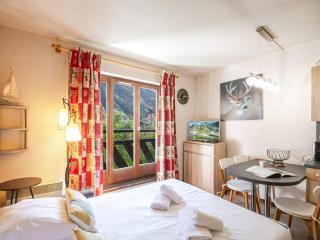 Chamonix : Studio charmant, balcon vue Mont-Blanc, parking, wifi, animaux acceptés - FR-1-343-221 - Chamonix-Mont-Blanc - 1
