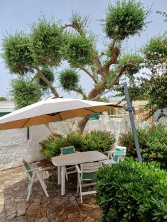 Casa Vacanze Bouganville - Leporano Marina - 7