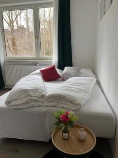 Gemütliche Stadtwohnung Kapfenberg - Gratis Parken - Kapfenberg - 1