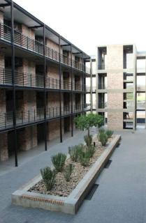 Wild olive apartment - Windhoek - 2
