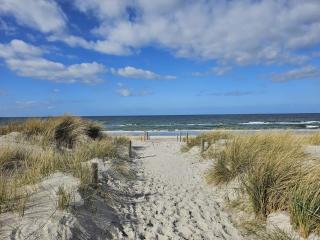 Ferienhaus Holzperle am Meer - Rerik - 3