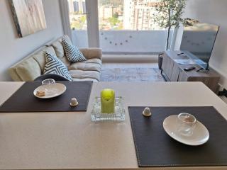 Apartamento Nuevo Central 2P - Concepción - 7
