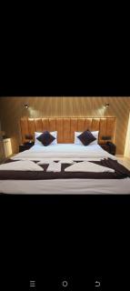 Vega Hotel & Restro - Ayodhya - 3