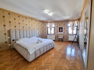 Luxurious Residence with a View in the Old City - Brasov - Braşov - 6