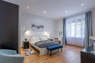 Ultra Central New Large and Quiet - Boedapest - 4