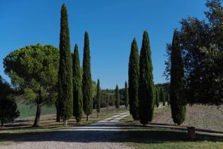 Country House In Tuscan Hills - Siena - 1