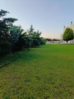 Mira apartment - Skiros - 4
