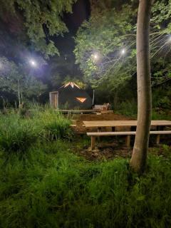 Zen & Den Woodland Zome - Thorpe le Soken - 2