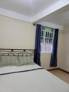 Peppy's Palace - Roseau - 9