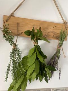 La Maison de Léo - 2