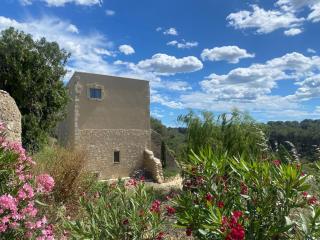 La Maison de Léo - Saint-Mitre-les-Remparts - 4
