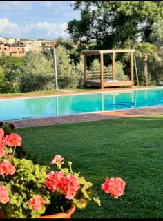 Alloggio incantevole con piscina - Vinci - 5