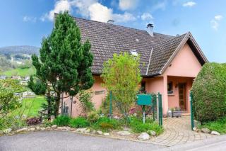 Maison coquette à Fréland avec jardin - Fréland - 9