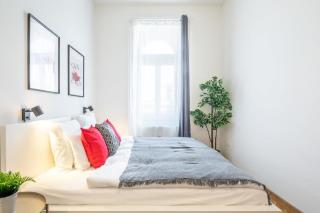 Excellent location magnificent flat - Budapest - 7