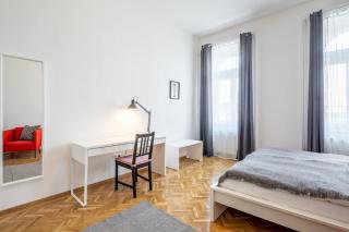 Excellent location magnificent flat - Budapest - 4