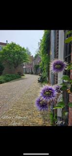 Het oude Bolwerk - Alkmaar - 9