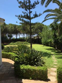 Sapphire 43, Plemmirio's Oasis - 5