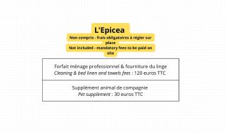 Epicea, bel appartement avec balcon au centre ville - Gérardmer - 9