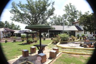 Umang-umang Chalet - - 1