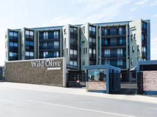 Modern Flat - 5
