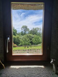 Petit gite Pèlerin - - 9