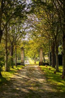 Château la Gineste - Castle and Vineyard - Duravel - 3