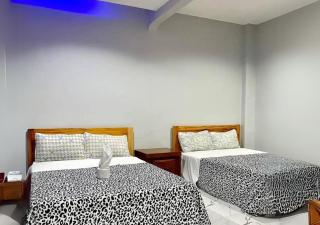 Mgf Franz Pension House - 4