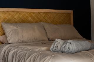 Agave Stay's - Antigua Guatemala - Antigua Guatemala - 8