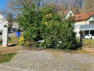 Apartment Matthes - - 7