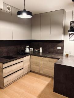 Green Stone Apartment V - Bydgoszcz - 8