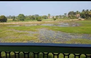 AnthillaNest - Benaulim - 1