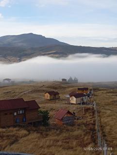 Villa Jaguar Berlín - 9