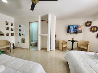 Typical Cartagena Boutique House - 3