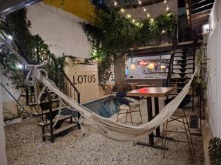 Lotus Central Hotel - Santa Marta - 9
