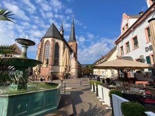 Neubau-Oase am Weinbergsrand - Deidesheim - 3