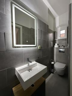 1G LV 6-Zimmer-Apartment Hbf Halle - Halle an der Saale - 6