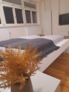 Apartmans MWM Brno 2 - Brno - 8